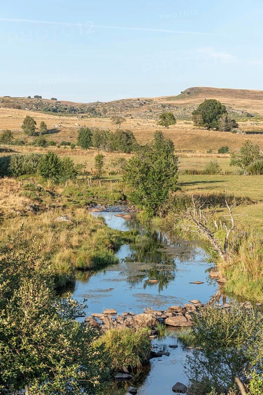 Landscape in Aubrac in summer, inspiring, infinite, enchanting, magical, peaceful, bewitching. Cevennes France