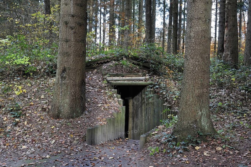 Entrance of cagna, hideout of the Belgian resistance fighters, the maquisards, at the Wolfsschlucht I, Grand Quartier Général Allemand 1940, open air museum with Adolf Hitler's bunker in the forest at Brûly-de-Pesche, Ardennes, Belgium, Europe
