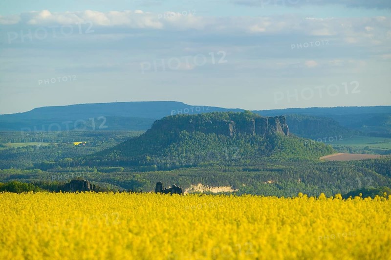 The Lilienstein is one of the most striking mountains in Saxon Switzerland in Saxony. The Lilienstein is the only table mountain on the right bank of the Elbe and is the symbol of the Saxon Switzerland National Park