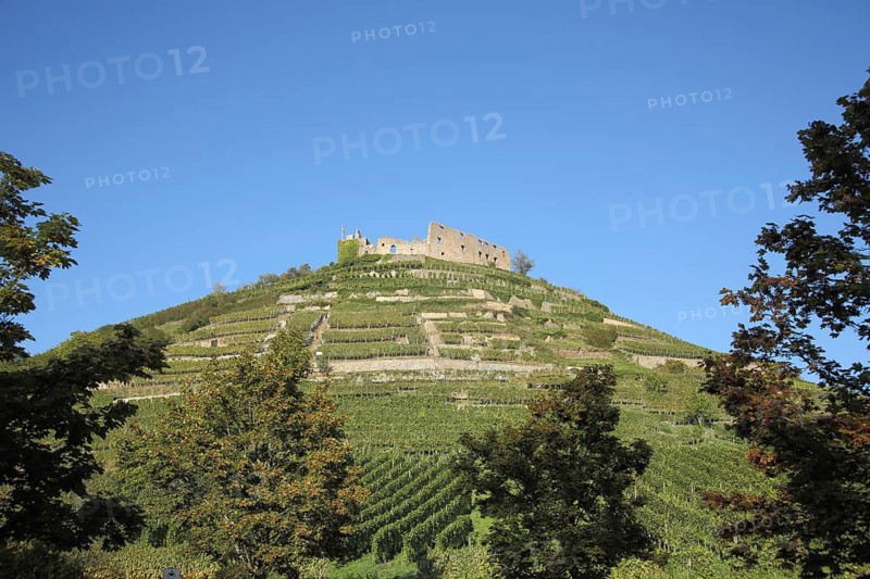 Castle in Staufen with vineyards on the hill, Markgräflerland, Breisgau, Baden-Württemberg, Germany, Europe