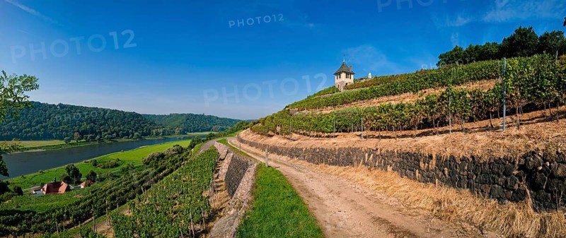 Not far from the Boselspitze, leaning towards the Elbe, is the vineyard known as the Rote Presse. The ochre-coloured vineyard cottage with the pointed roof, also known as the Swallow's Nest, is visible from afar