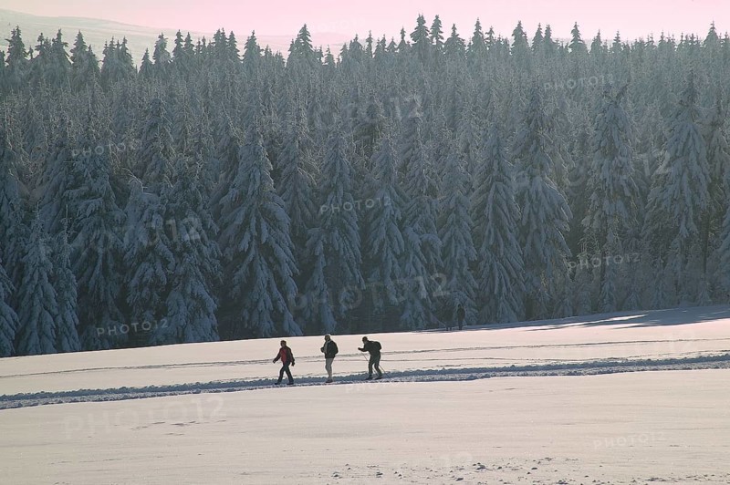 DEU Saxony Landscape near Hermsdorf in the Ore Mountains