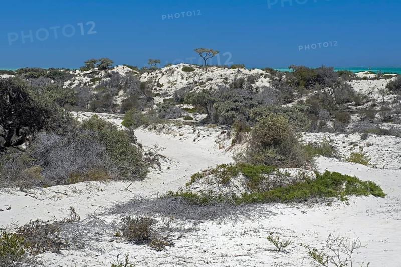 White sand dunes along the Malagasy Indian Ocean west coast, Atsimo-Andrefana Region, Madagascar, Africa