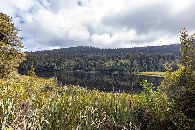 Lake Matheson Trail, New Zealand, Oceania