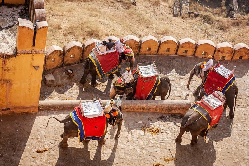 JAIPUR, INDIA, NOVEMBER, 18: Tourists riding elephants in Amber fort, Rajasthan, Elephant ride is a popular entertainment for tourists in India