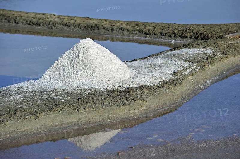 Salt pan for the poduction of Fleur de sel, sea salt on the island Ile de Ré, Charente-Maritime, France, Europe