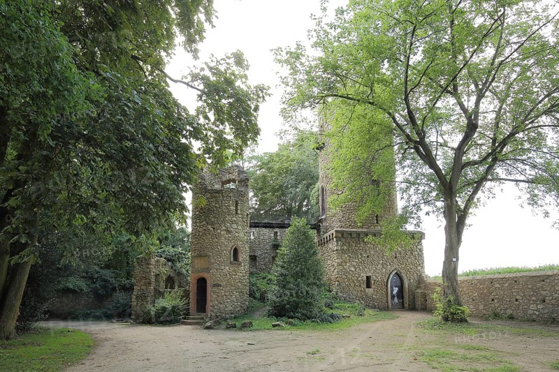 Castle ruins in Verna Park Stadtpark, Rüsselsheim, Hesse, Germany, Europe