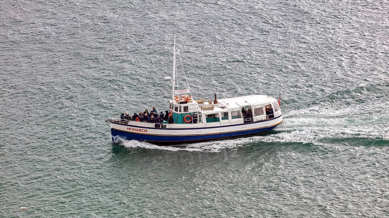 Boot, Taiaroa Head, Otago-Halbinsel, Neuseeland