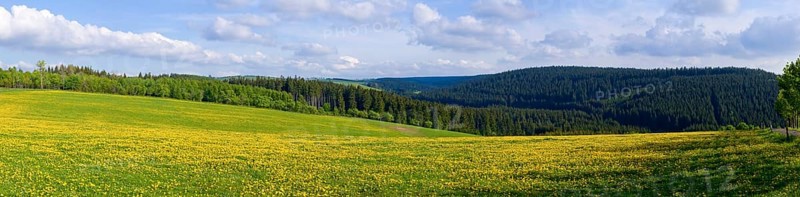 Landscape near Frauenstein
