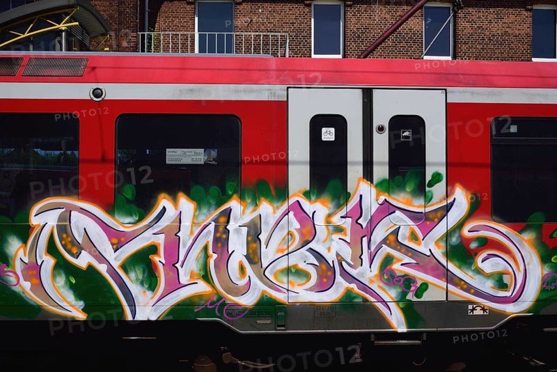 Europe, Germany, Hamburg, Grafitti, Line S3, Lettering on railway carriages, Hamburg, Hamburg, Federal Republic of Germany, Europe