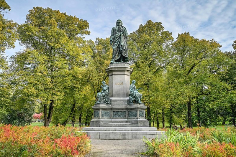 Carl von Linné monument, Humlegarden Royal Garden, Karlaväge, Stockholm, Sweden, Europe