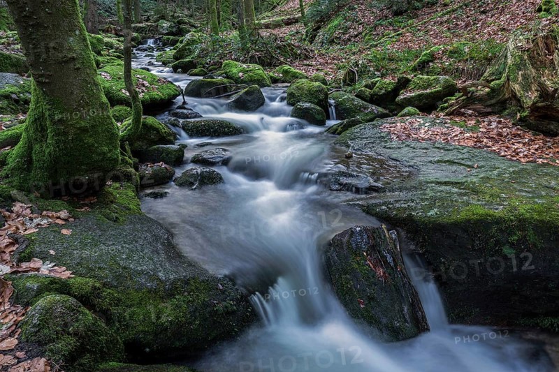 Gertelbach, Gertelbach Waterfalls, Gertelbach Falls, Gertelbach Gorge, Bühl, Bühlertal, Northern Black Forest, Black Forest, Baden-Württemberg, Germany, Europe