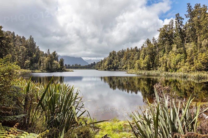 Lake Matheson, New Zealand, Oceania