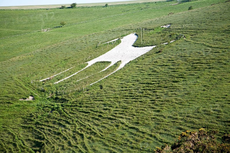 White horse figure carved in chalk scarp slope at Alton Barnes, Wiltshire, England, United Kingdom, Europe