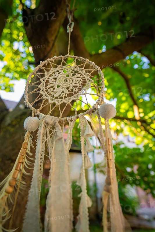 Detailed view of a dreamcatcher hanging from a tree in a well-lit garden, Harz Mountains, Germany, Europe