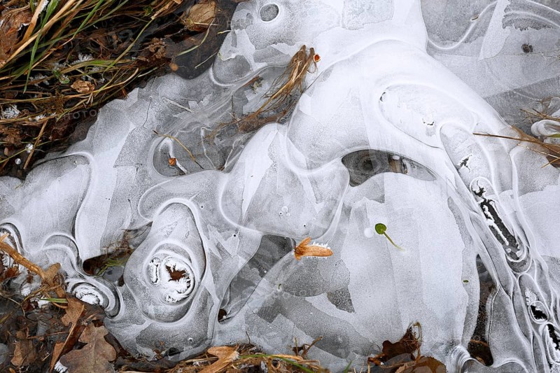 Winter flood 2024 on the rivers Elbe and Mulde with flooding of the meadows, close-up of ice structures on the meadows due to flooding in winter, bizarre ice formations, Middle Elbe Biosphere Reserve, Dessau-Roßlau, Saxony-Anhalt, Germany, Europe