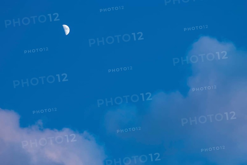 The waxing crescent moon stands bright in a deep blue evening sky with cumulus clouds illuminated slightly pink by the sun, Lower Saxony, Germany, Europe