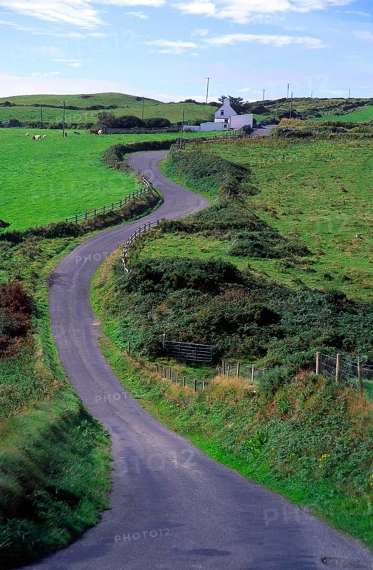 Winding country road passing rural farmhouse, Dursey Head, Beara peninsula, County Cork, Ireland, Europe
