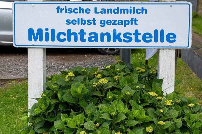 Milk filling station sign, Alkersum, Föhr, North Sea island, North Frisia, Schleswig-Holstein, Germany, Europe