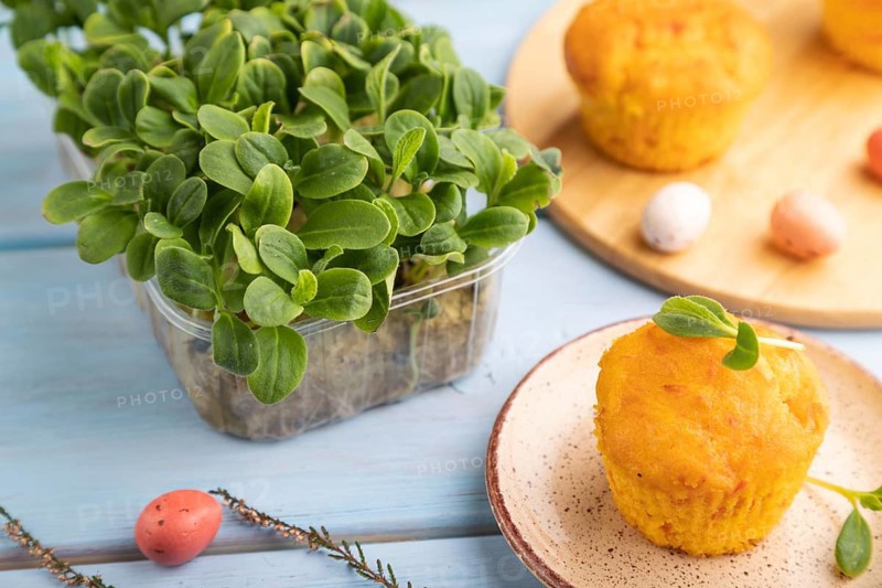 Homemade cakes with chocolate eggs and borage microgreen on a blue wooden background. side view, close up, selective focus