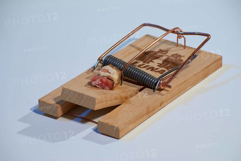 Mousetrap with bacon