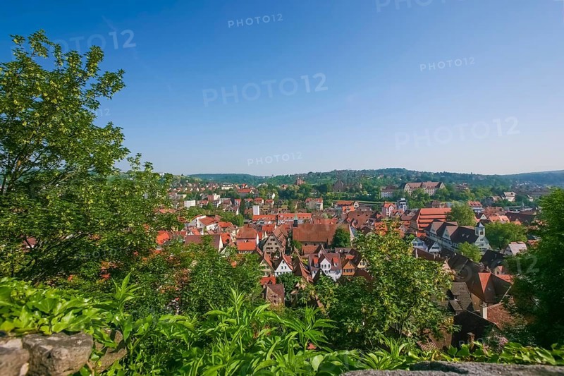 View of Tübingen from Hohentübingen Castle, Houses, Buildings, Eberhard Karls University Tübingen, Tübingen, Baden-Württemberg, Germany, Europe