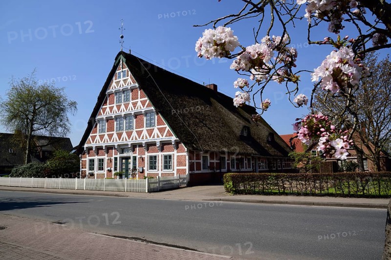 Europe, Germany, Lower Saxony, Altes Land near Hamburg, Steinkirchen an der Lühe, old half-timbered farmhouse behind the Lühe dyke, artistic brickwork of the half-timbered house, Hamburg, Hamburg, Federal Republic of Germany, Europe
