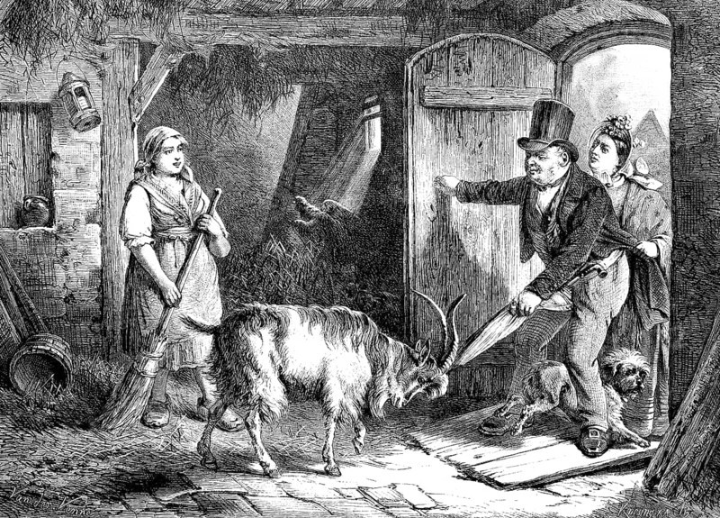 Summer holidaymakers at the Baürnhof want to visit a stable. Goat pen, billy goat fending off, Historical, digitally restored reproduction from a 19th century original, Record date not stated
