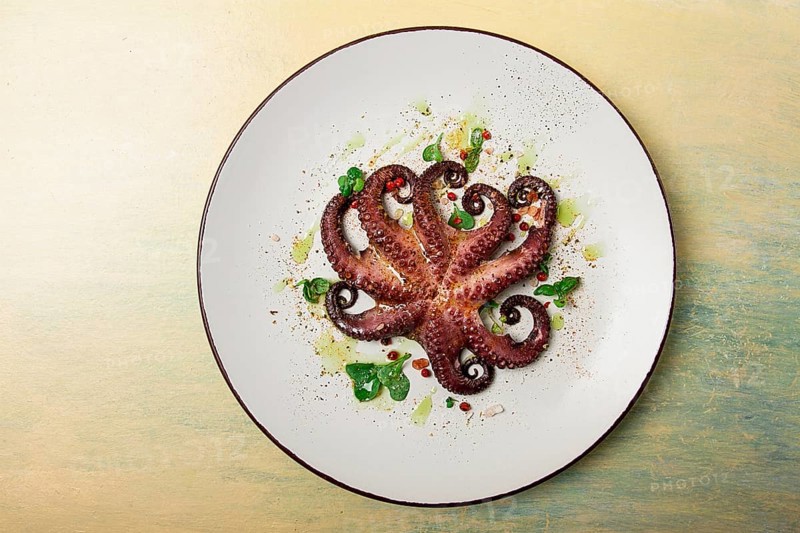 Boiled octopus, close-up, rustic style, no people, top view, close-up