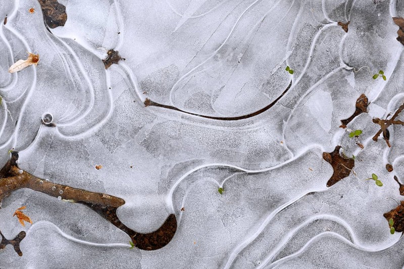Winter flood 2024 on the rivers Elbe and Mulde with flooding of the meadows, close-up of ice structures on the meadows due to flooding in winter, bizarre ice formations, Middle Elbe Biosphere Reserve, Dessau-Roßlau, Saxony-Anhalt, Germany, Europe