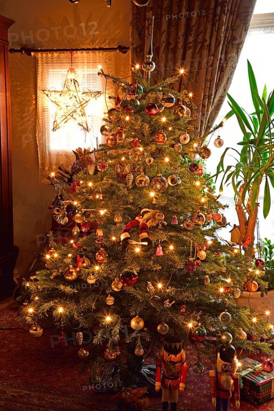 Europe, Germany, Christmas tree, Christmas tree in living room, Christmas, traditional tree decoration with baubles and lights, Hamburg, Hamburg, Federal Republic of Germany, Europe