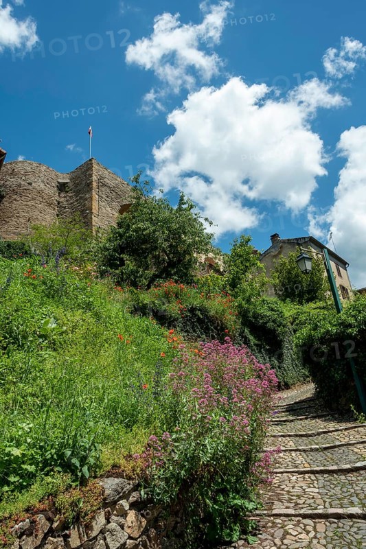 Historic village of Auzon with overgrown greenery under a bright blue sky, Haute-Loire, Auvergne-Rhone-Alpes, France, Europe