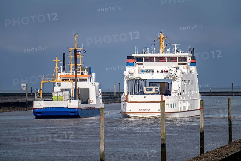 Ferry from Norddeich to the island of Norderney, for vehicles and passengers, Frisia IV, in the Busetief Canal, Lower Saxony, Germany, Europe