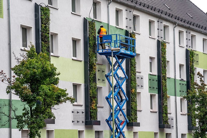 Installation of façade greenery on 4 apartment blocks on Gladbecker Straße, B224, to filter nitrogen oxides and fine dust particles from the air, climbing vines, flowering shrubs, grasses, ferns and ivy grow in the vertical gardens, Essen, North Rhine-Westphalia, Germany, Europe