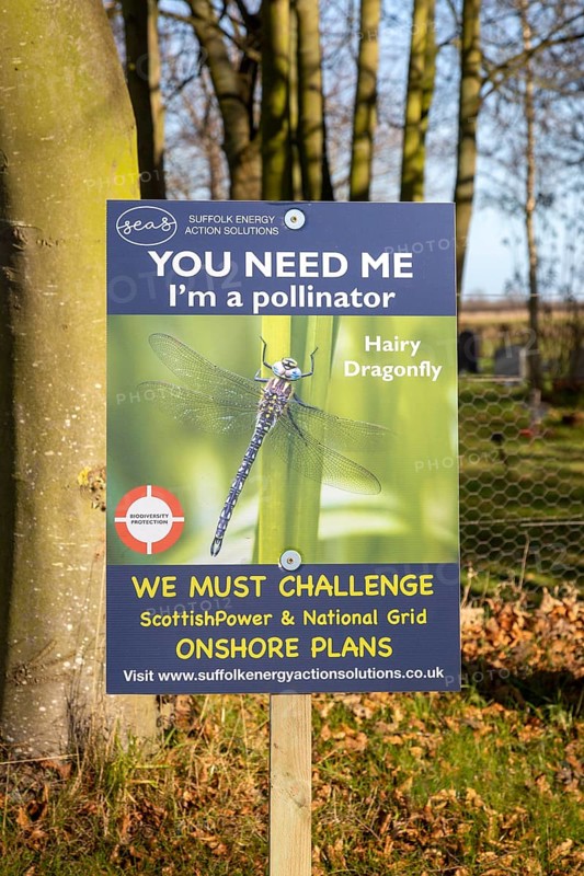 Campaign poster opposing Scottish Power and National Grid onshore electricity substation plans, Friston, Suffolk, England, UK, hairy dragonfly