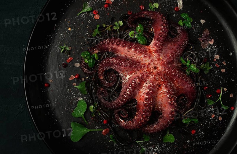 Octopus with black spaghetti, pasta, spices and herbs, top view, no people