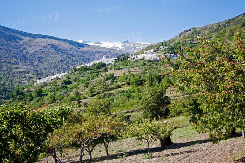 Village of Capileira in the River Rio Poqueira gorge valley, High Alpujarras, Sierra Nevada, Granada Province, Spain, Europe