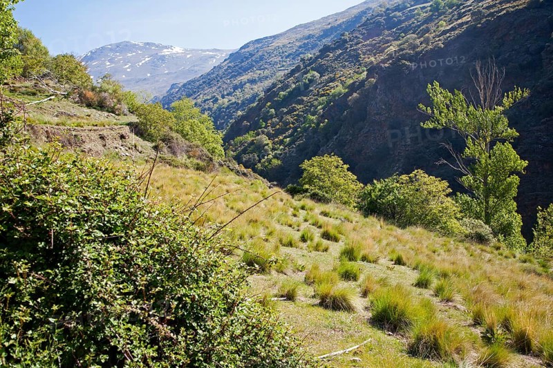 Landscape of the River Rio Poqueira gorge valley, High Alpujarras, Sierra Nevada, Granada Province, Spain, Europe