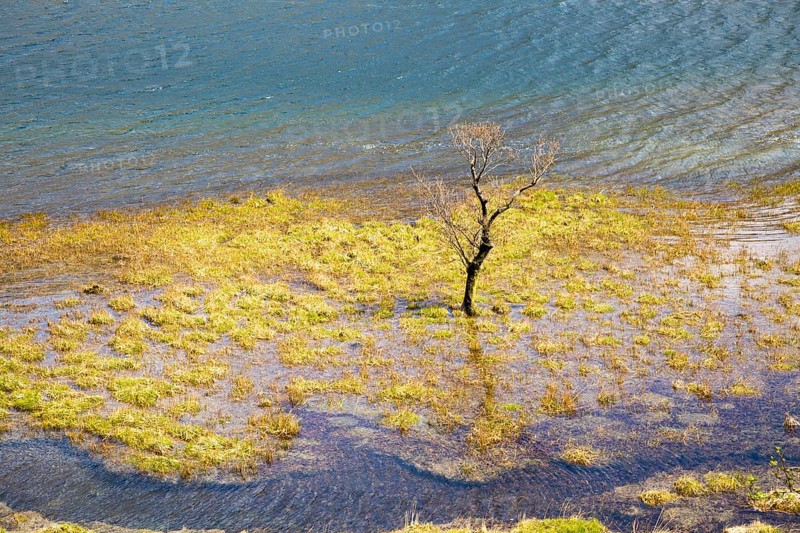 High water level flooding land, Lake Buttermere, Lake District national park, Cumbria, England, UK