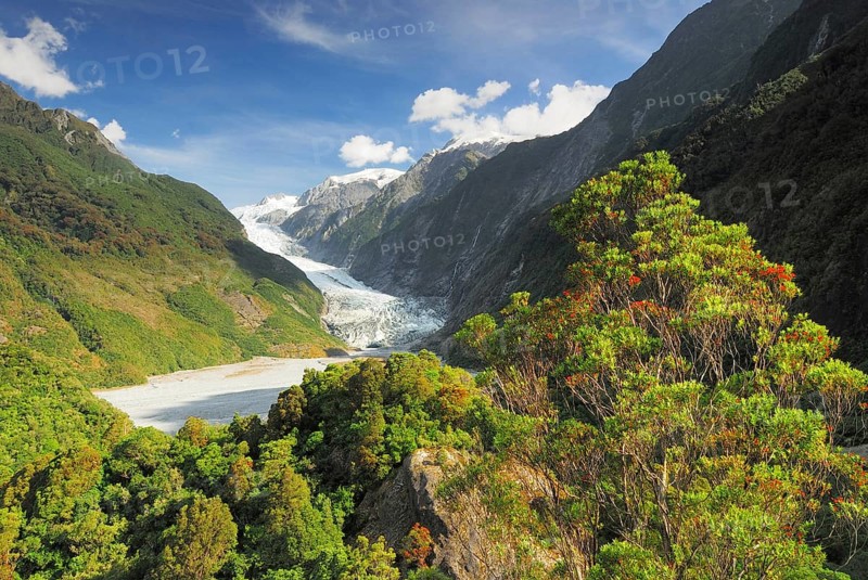 View from Sentinel Rock to Franz Josef Glacier, Westland National Park, South West New Zealand World Heritage Site, Southern Alps, West Coast, South Island New Zealand, Franz Josef Glacier, Southern Alps, New Zealand, Oceania