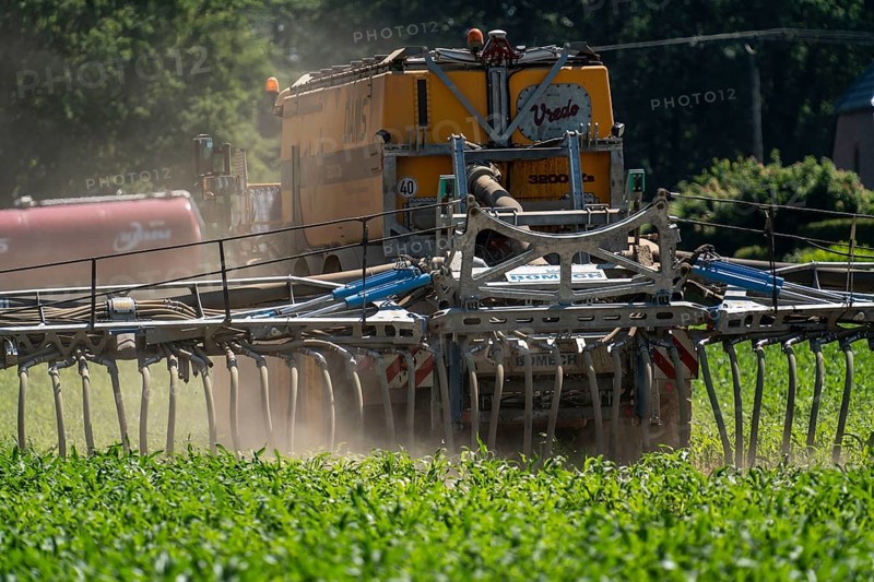 A maize field, with young plants, is fertilised with liquid manure, self-propelled slurry tanker, near Geldern, North Rhine-Westphalia, Germany, Europe