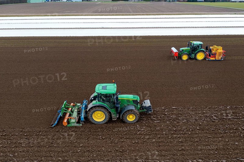 Lettuce plants are planted with a planting machine, tractor with roundabout harrow prepares the soil, agriculture, spring