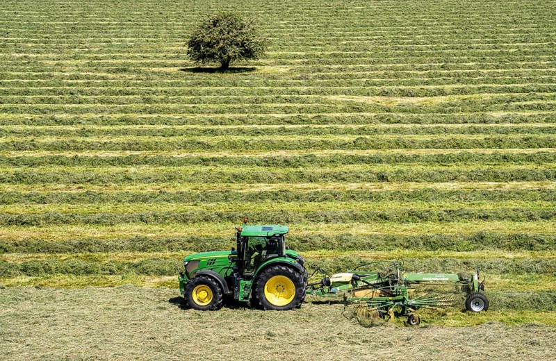 Hay harvest, in a meadow near Duisburg-Baerl, tractor with roundabout tedder, a hay tedder that piles up the cut grass in strips so that it can later be picked up and utilised, North Rhine-Westphalia, Germany, Europe