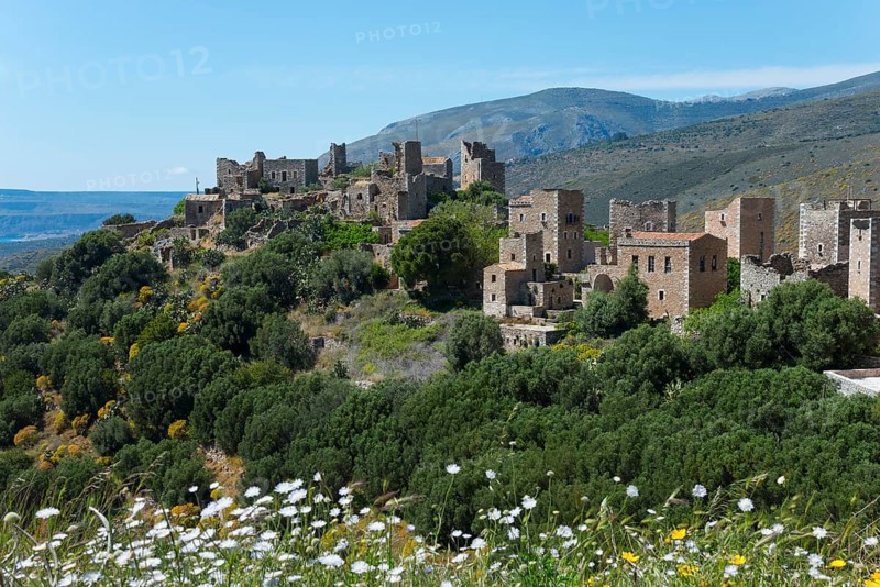 Blooming white-yellow flowers in front of a historic village in a hilly landscape, residential towers, Vathia, Ithylo, Anatoliki Mani, Mani, Laconia, Peloponnese, Greece, Europe