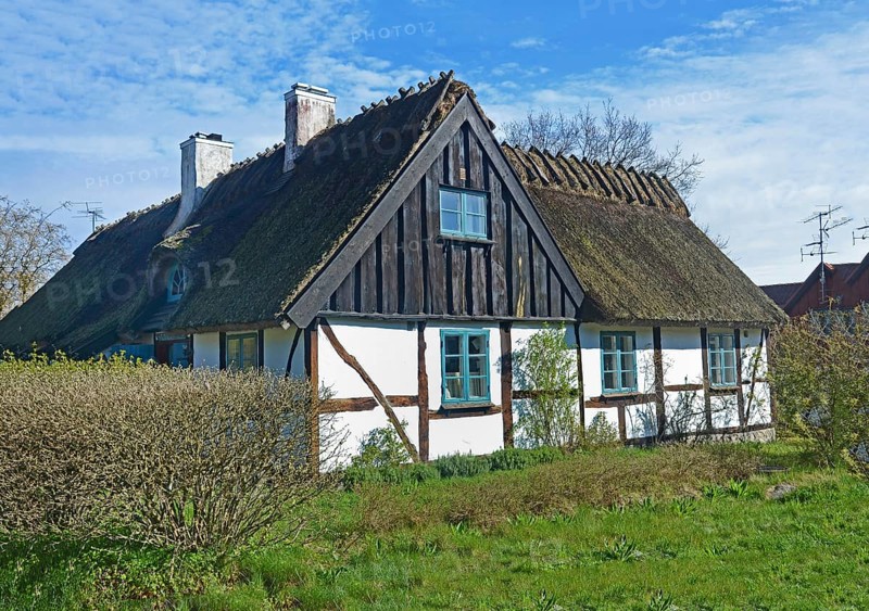 Half timbered thatched cottage in Knäbäckshusen, a small fishing village near Rörum, Simrishamn municipality, Skåne County, Sweden, Scandinavia, Europe