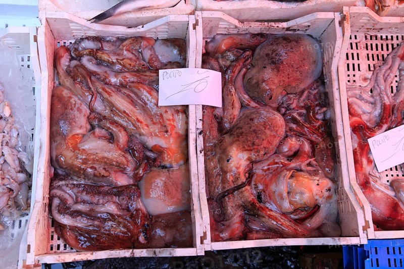 Fresh octopus at the historic Catania fish market, Catania, Sicily, Italy, Europe