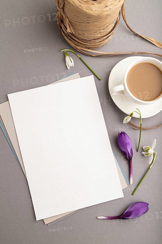 White paper sheet mockup with spring snowdrop crocus and galanthus flowers and cup of coffee on gray background. Blank, business card, top view, flat lay, copy space, still life. spring concept