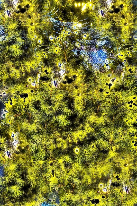 Fir tree, Christmas tree surreal, Christmas motif, Christmas, Christmas festival, Advent season, artistic photography, alienation, Christmas card motif, creative photography, all over, allover pattern, Germany, Europe