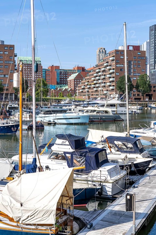 Rotterdam Marina, behind residential high-rise buildings at Spoorweghaven, pleasure craft harbour, sailing boats, motor yachts, in the inland harbour, Feijenoord district, Rotterdam, Netherlands