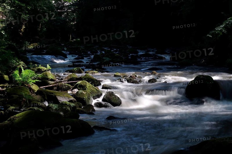 River Wesenitz, Liebethaler Grund, part of the Malerweg, summer, Saxon Switzerland, Saxony, Germany, Europe